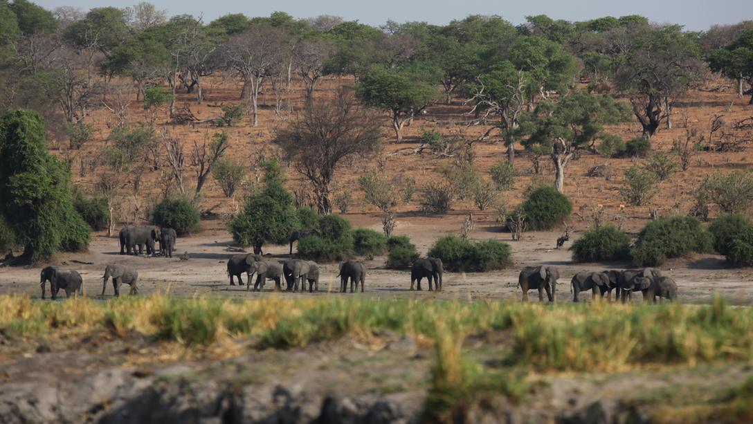 Experience Chobe and Victoria Falls - Spirit of Travel & Tours