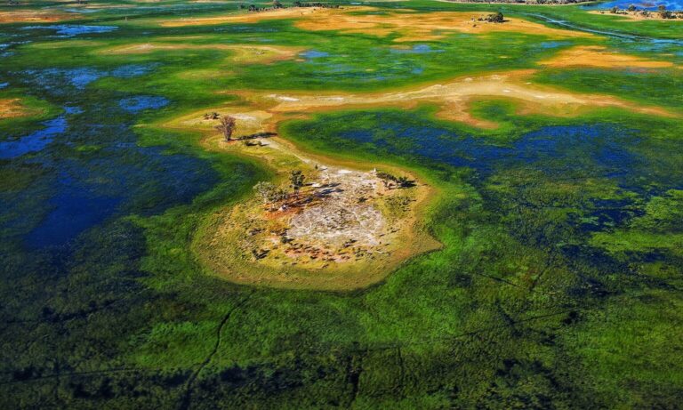 Experience the Okavango delta UNESCO 1000th world heritage site