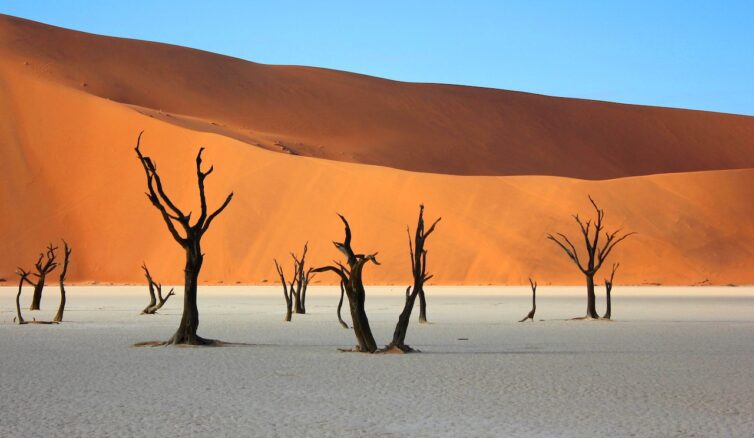 Namib desert island Sossusvlei Namibia
